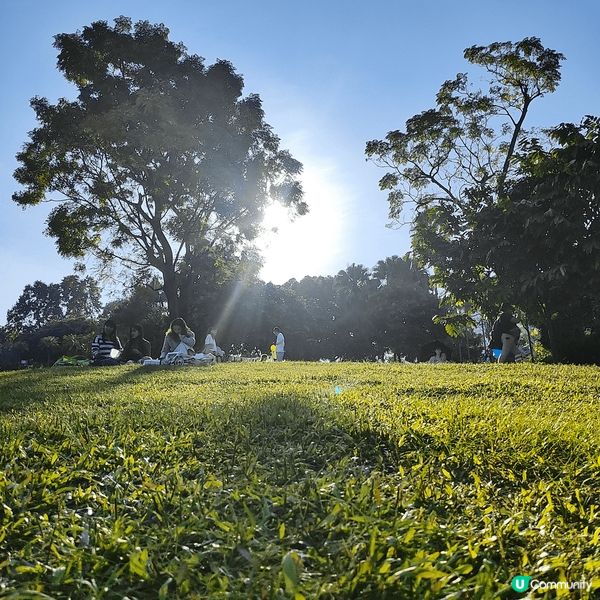 聖誕日間天氣和暖，最啱去野餐。住新界西，近近哋去元朗公園。元...