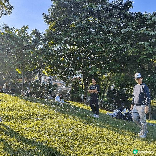 聖誕日間天氣和暖，最啱去野餐。住新界西，近近哋去元朗公園。元...