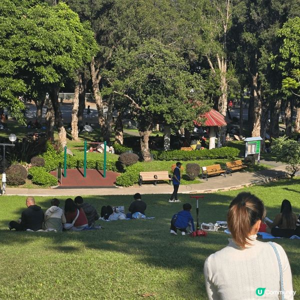 聖誕日間天氣和暖，最啱去野餐。住新界西，近近哋去元朗公園。元...