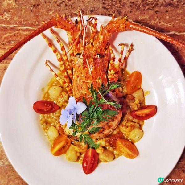 浪漫🌹打卡🍽️Fine Dining