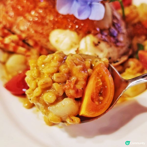 浪漫🌹打卡🍽️Fine Dining