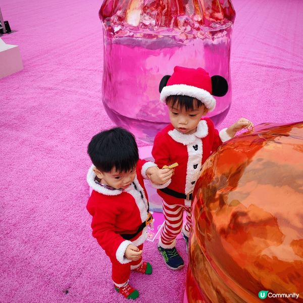 大人細路寵物都鍾意，情侶小朋友有靚相留念😍🤩