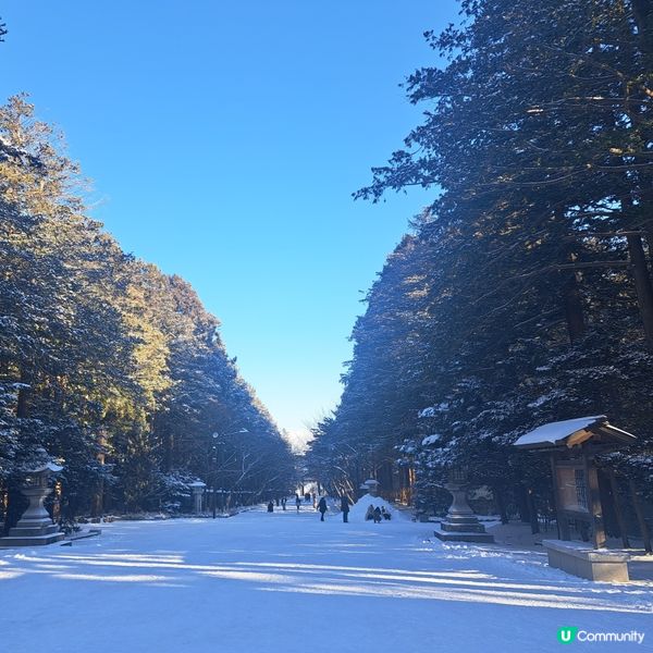 北海道神宮必食😋 神宮茶屋牛乳雪糕🍦 福餅🤤參拜神宮