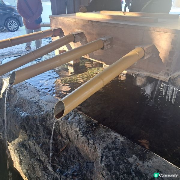 北海道神宮必食😋 神宮茶屋牛乳雪糕🍦 福餅🤤參拜神宮