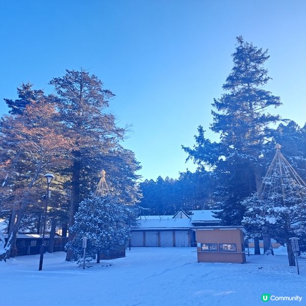 北海道神宮必食😋 神宮茶屋牛乳雪糕🍦 福餅🤤參拜神宮