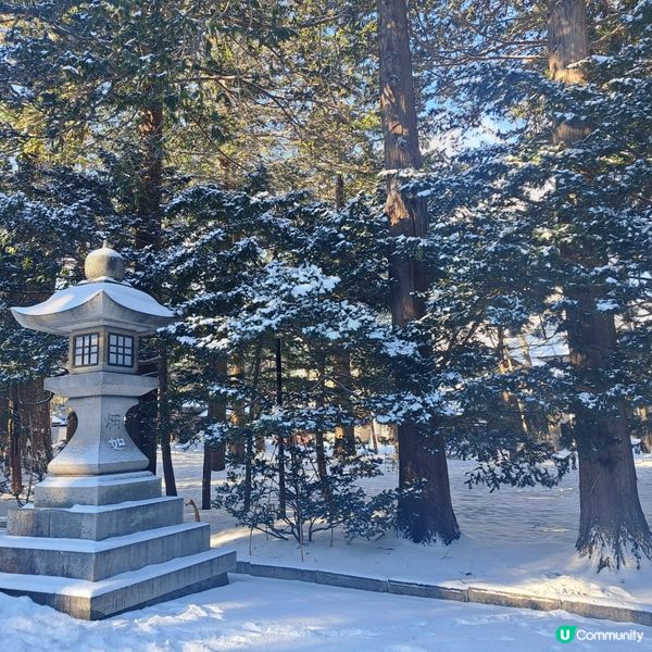 北海道神宮必食😋 神宮茶屋牛乳雪糕🍦 福餅🤤參拜神宮