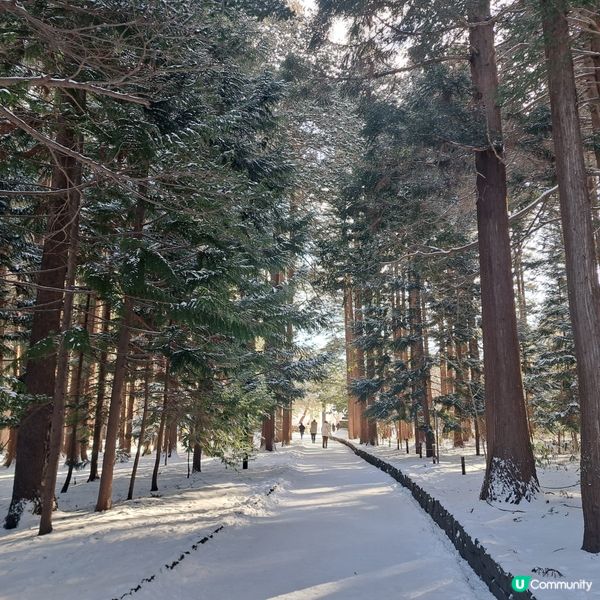 北海道神宮必食😋 神宮茶屋牛乳雪糕🍦 福餅🤤參拜神宮