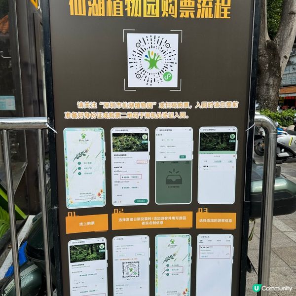 仙湖落羽杉🍁  紅到爆🔥