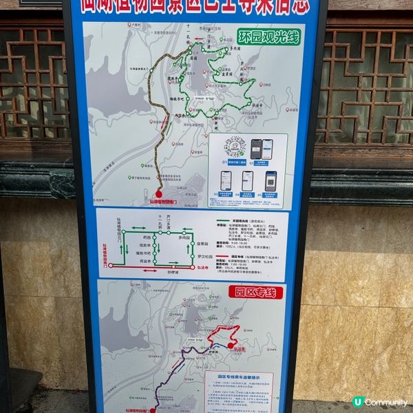 仙湖落羽杉🍁  紅到爆🔥