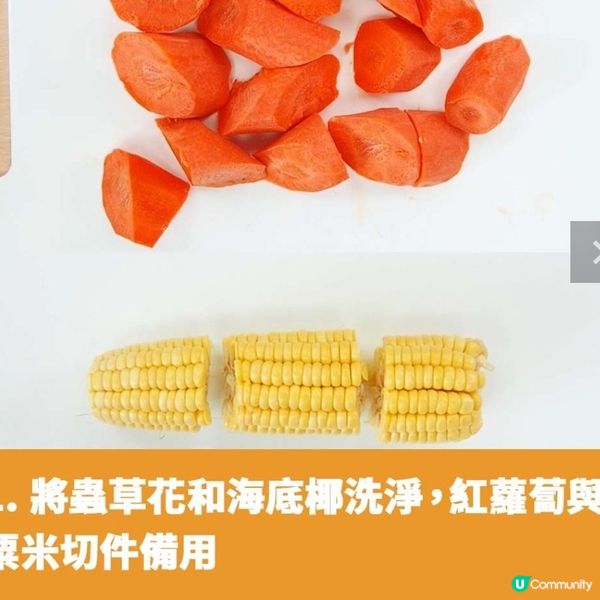 蟲草花椰子海底椰湯