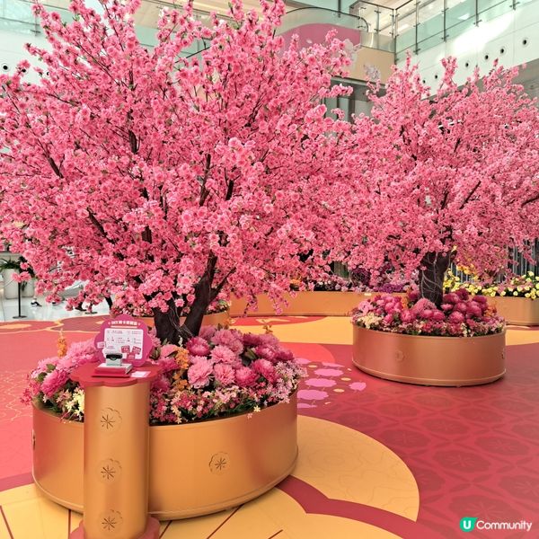 新城市廣場～桃花開運庭園