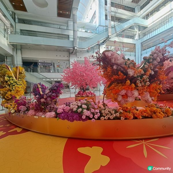 新城市廣場～桃花開運庭園