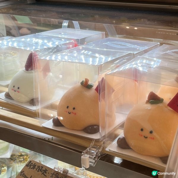 油麻地新開Jelly Cat cafe🥐🥨