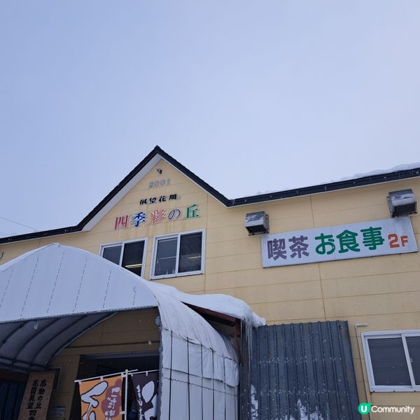北海道四季彩之丘❄️ 自駕雪車體驗！