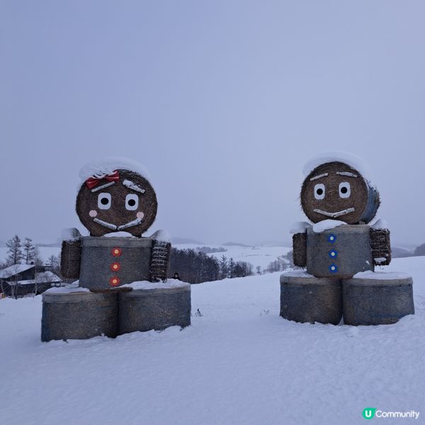 北海道四季彩之丘❄️ 自駕雪車體驗！