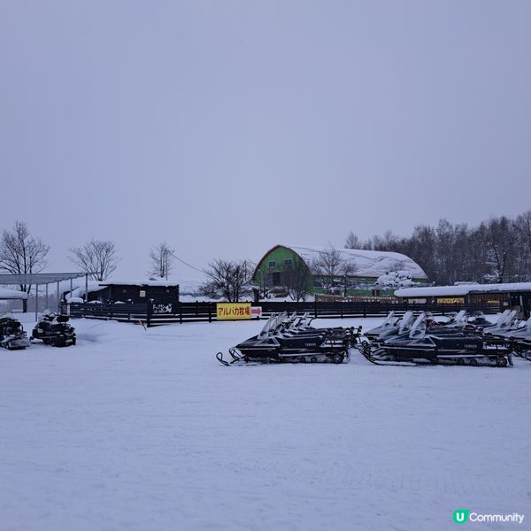 北海道四季彩之丘❄️ 自駕雪車體驗！