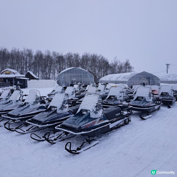 北海道四季彩之丘❄️ 自駕雪車體驗！