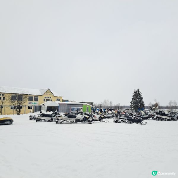 北海道四季彩之丘❄️ 自駕雪車體驗！