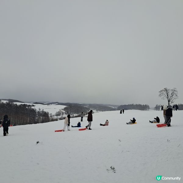 北海道四季彩之丘❄️ 自駕雪車體驗！