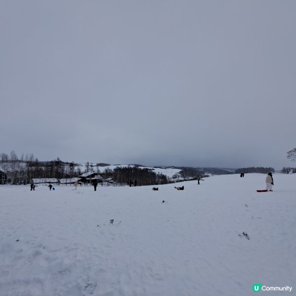 北海道四季彩之丘❄️ 自駕雪車體驗！