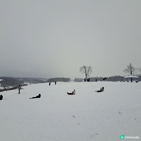 北海道四季彩之丘❄️ 自駕雪車體驗！