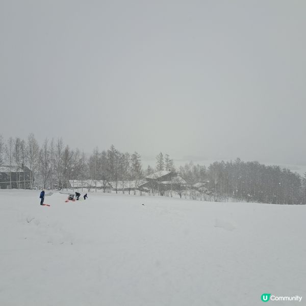 北海道四季彩之丘❄️ 自駕雪車體驗！