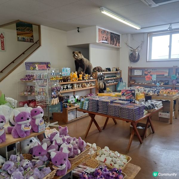 北海道四季彩之丘❄️ 自駕雪車體驗！