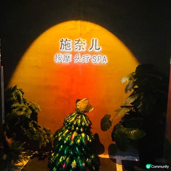 深圳CP值高的頭療 — 施奈兒