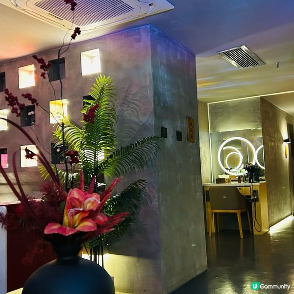 深圳CP值高的頭療 — 施奈兒