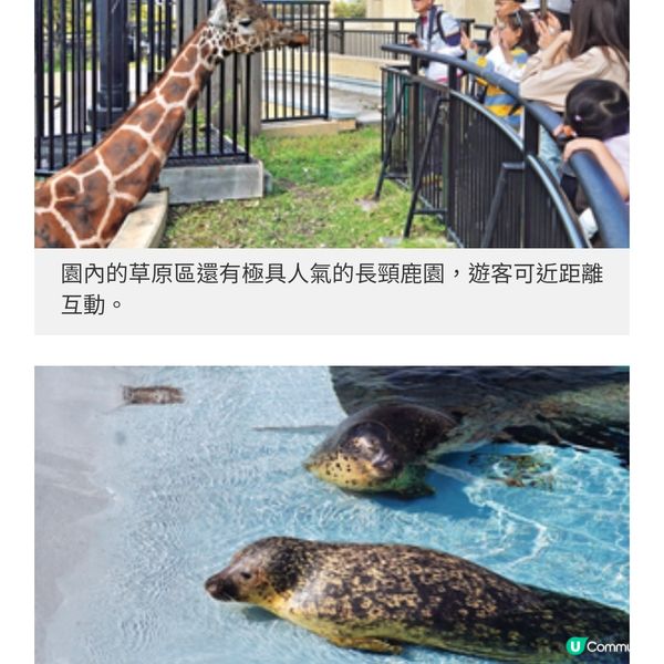 日本直擊北海道旭川探動物 冬季 型宿體驗地道風味