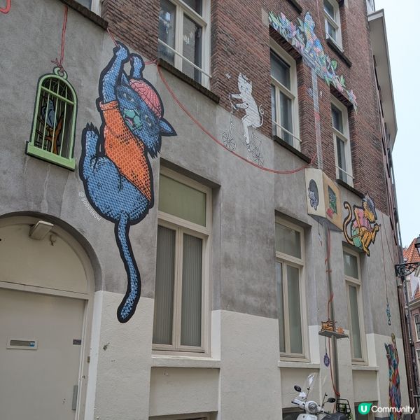 🐤荷蘭驚現神秘貓咪壁畫🐾