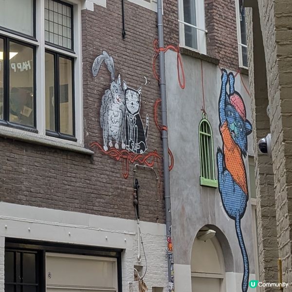 🐤荷蘭驚現神秘貓咪壁畫🐾