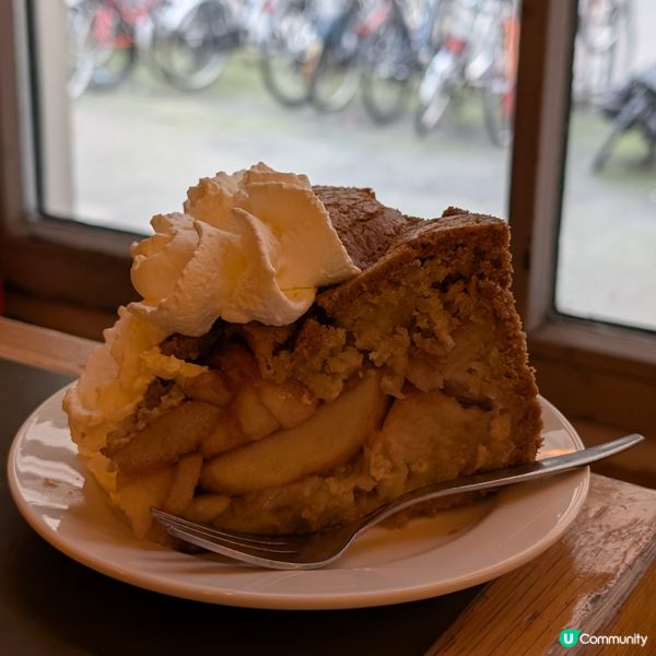 🐤荷蘭 Winkel 43 的招牌蘋果批