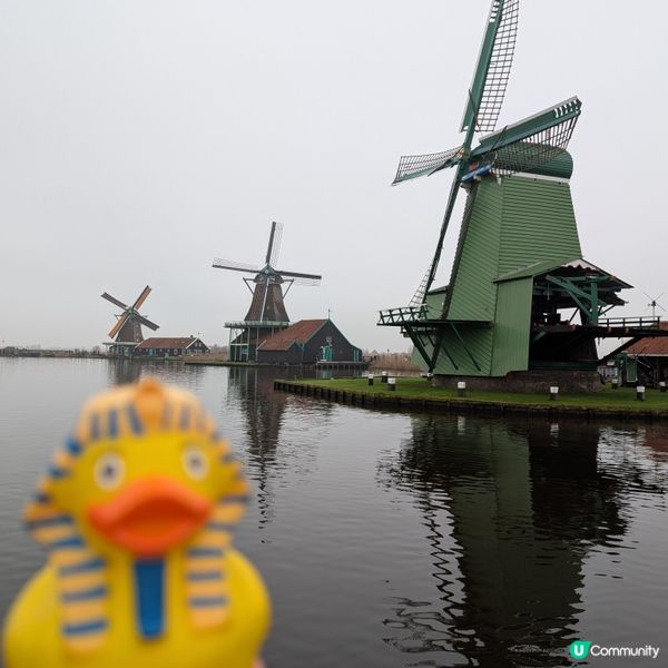 🐤荷蘭必訪風車村
