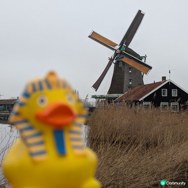 🐤荷蘭必訪風車村
