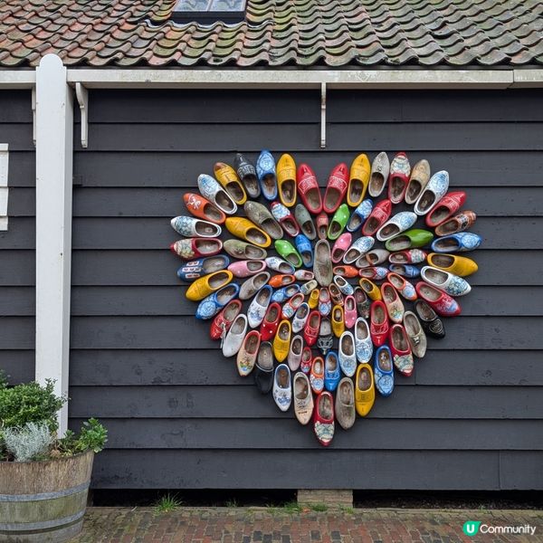 🐤荷蘭必訪風車村
