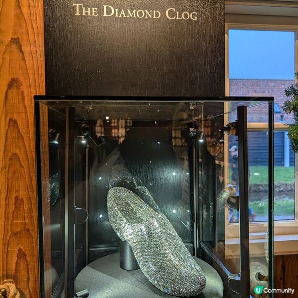 🐤荷蘭必訪風車村
