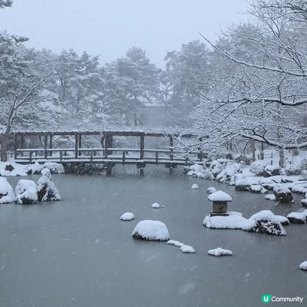 新潟白山公園❄️  雪白美景，等你來拍！