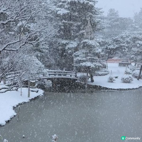 新潟白山公園❄️  雪白美景，等你來拍！