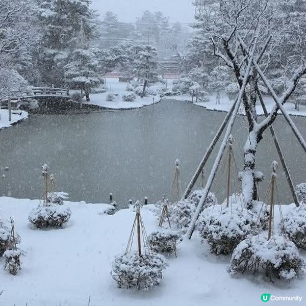 新潟白山公園❄️  雪白美景，等你來拍！
