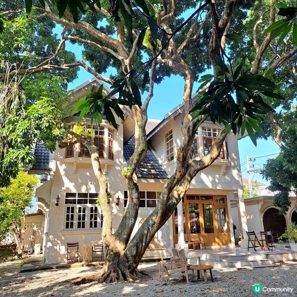 【Café Arte（清邁。泰國）】｜歐陸住宅復古Café