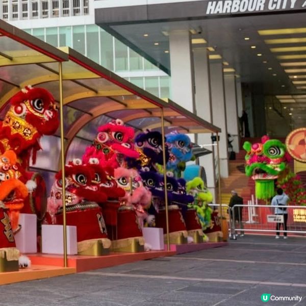 18頭醒獅陪你過新春至2月16日