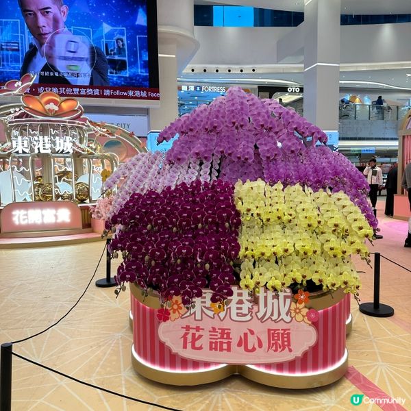 🐍蛇年 🌸花開富貴🏮🎊