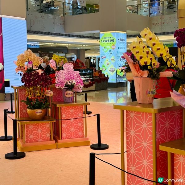 🐍蛇年 🌸花開富貴🏮🎊