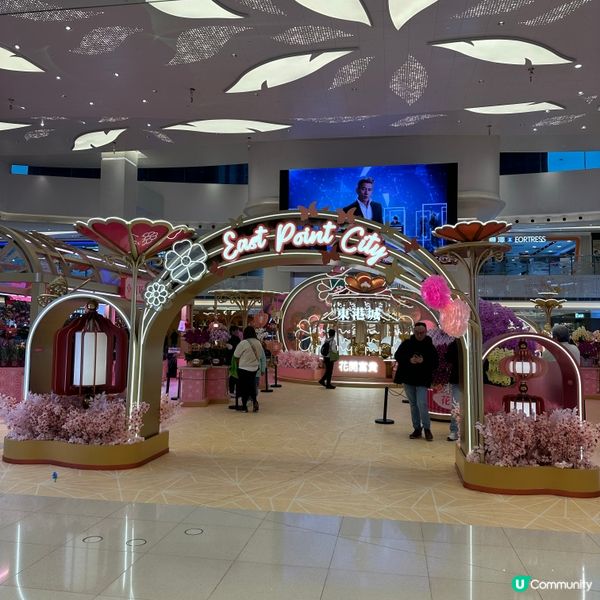 🐍蛇年 🌸花開富貴🏮🎊