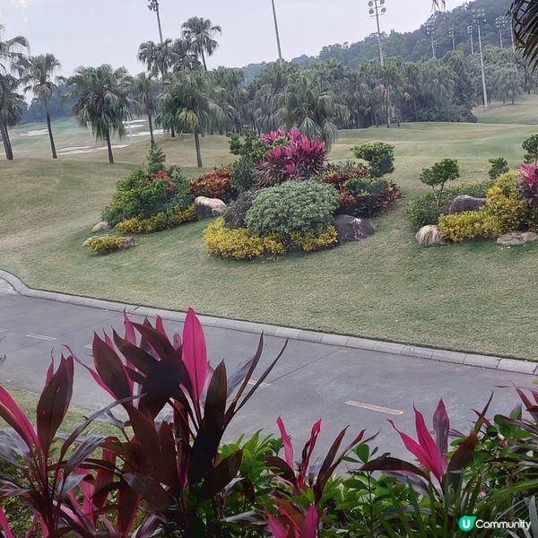 順德均安碧桂園高爾夫球會⛳️ 2日1夜玩轉高爾夫！