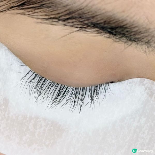 2025蛇年扮靚必去|植眼睫毛! 超讚體驗分享~