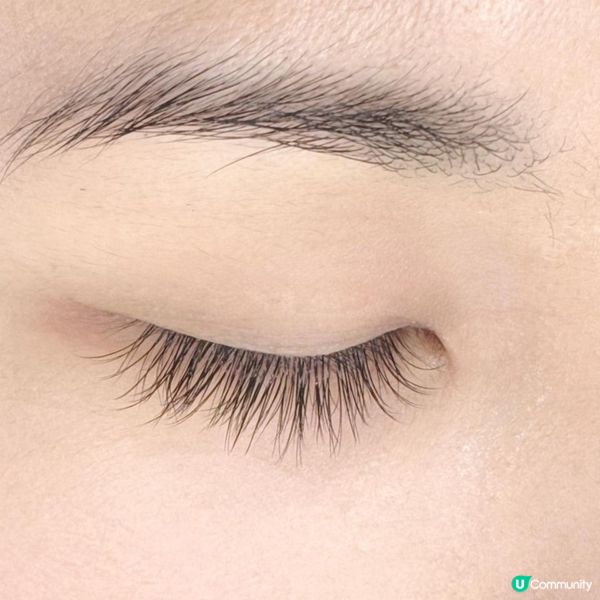 2025蛇年扮靚必去|植眼睫毛! 超讚體驗分享~