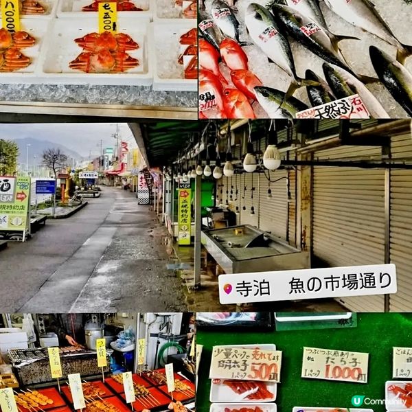 新潟寺泊魚市場通🦀 冬日海鮮盛宴！