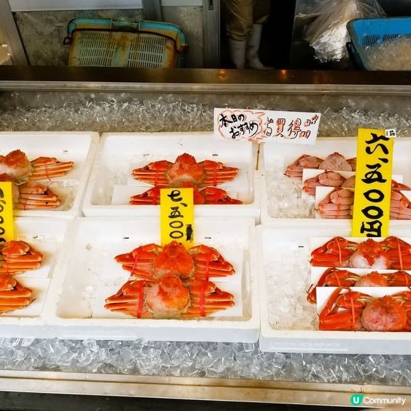 新潟寺泊魚市場通🦀 冬日海鮮盛宴！